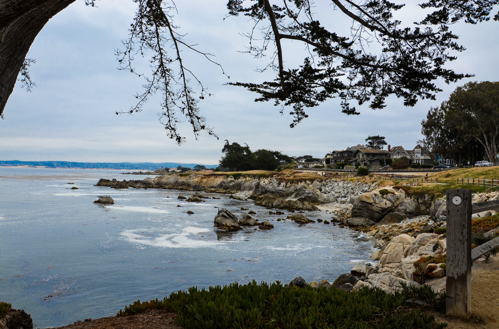 Monterey by the Sea