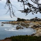 Monterey by the Sea