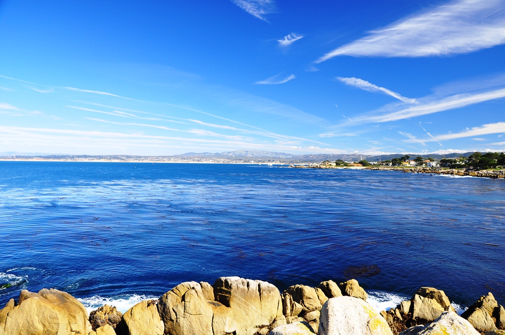 Monterey Coast View