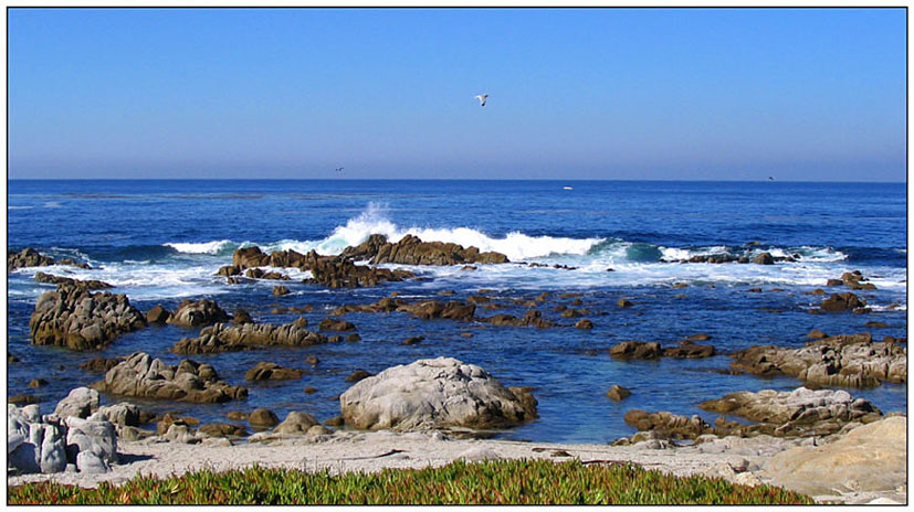 Monterey - Ocean view parc