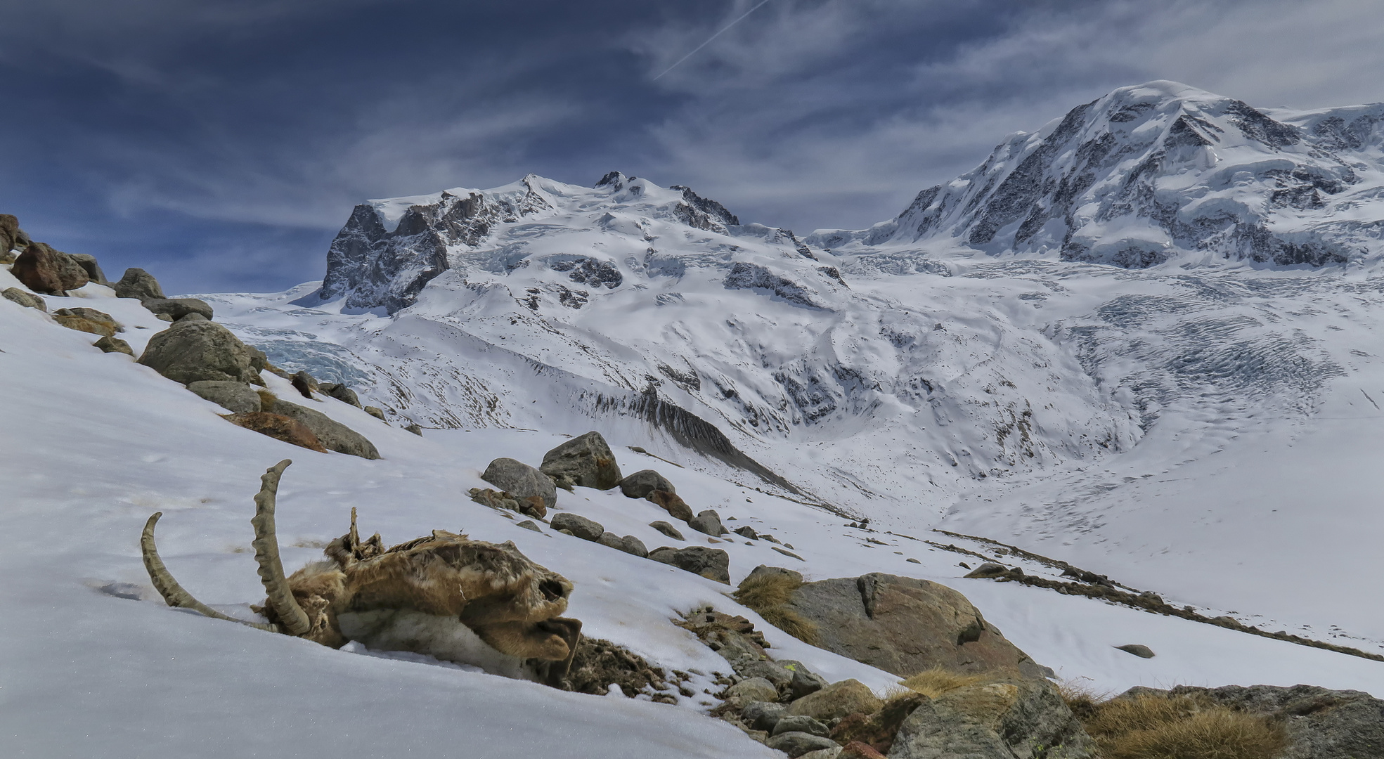 Monterosa