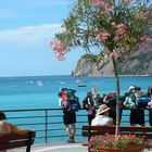 monterosso