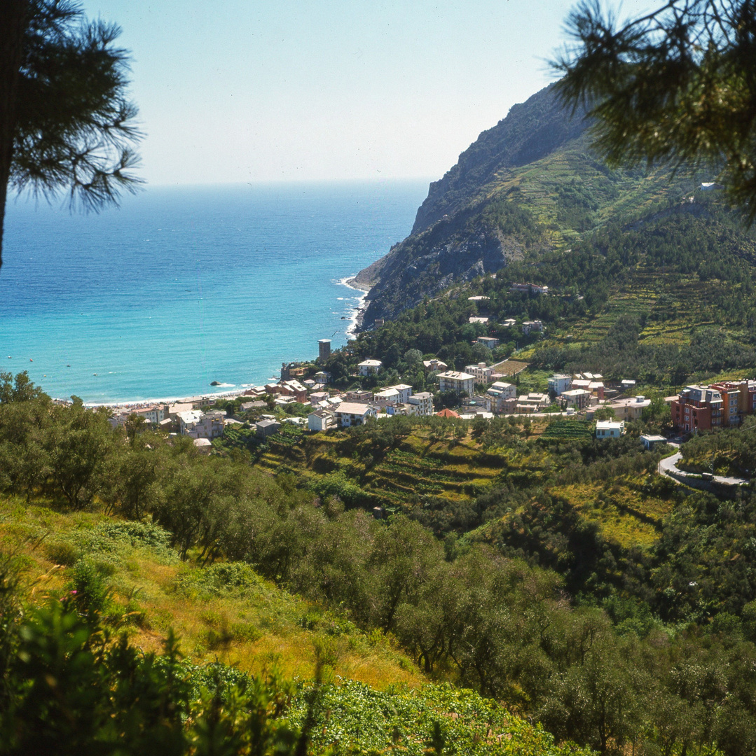 Monterosso