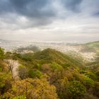 Monterrey mexico