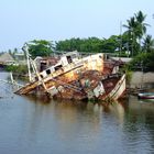 Monterrico, Pacific Coast 2008