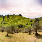 Montes de Málaga