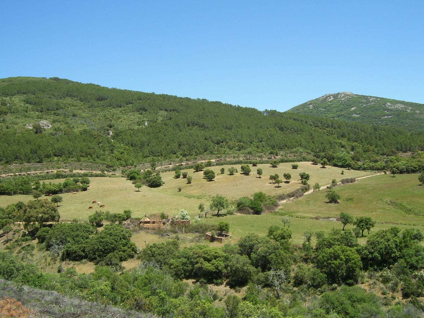 MONTES DE SAN PABLO...FERNANDO LÓPEZ   fOTOGRAFÍAS...