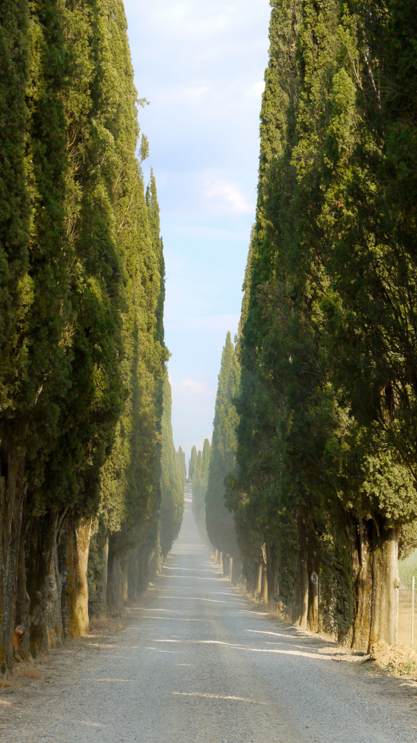 Montevecchio.. le chemin