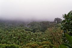 Monteverde