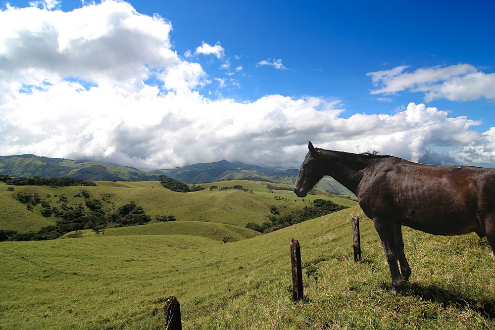 Monteverde, Costa Rica