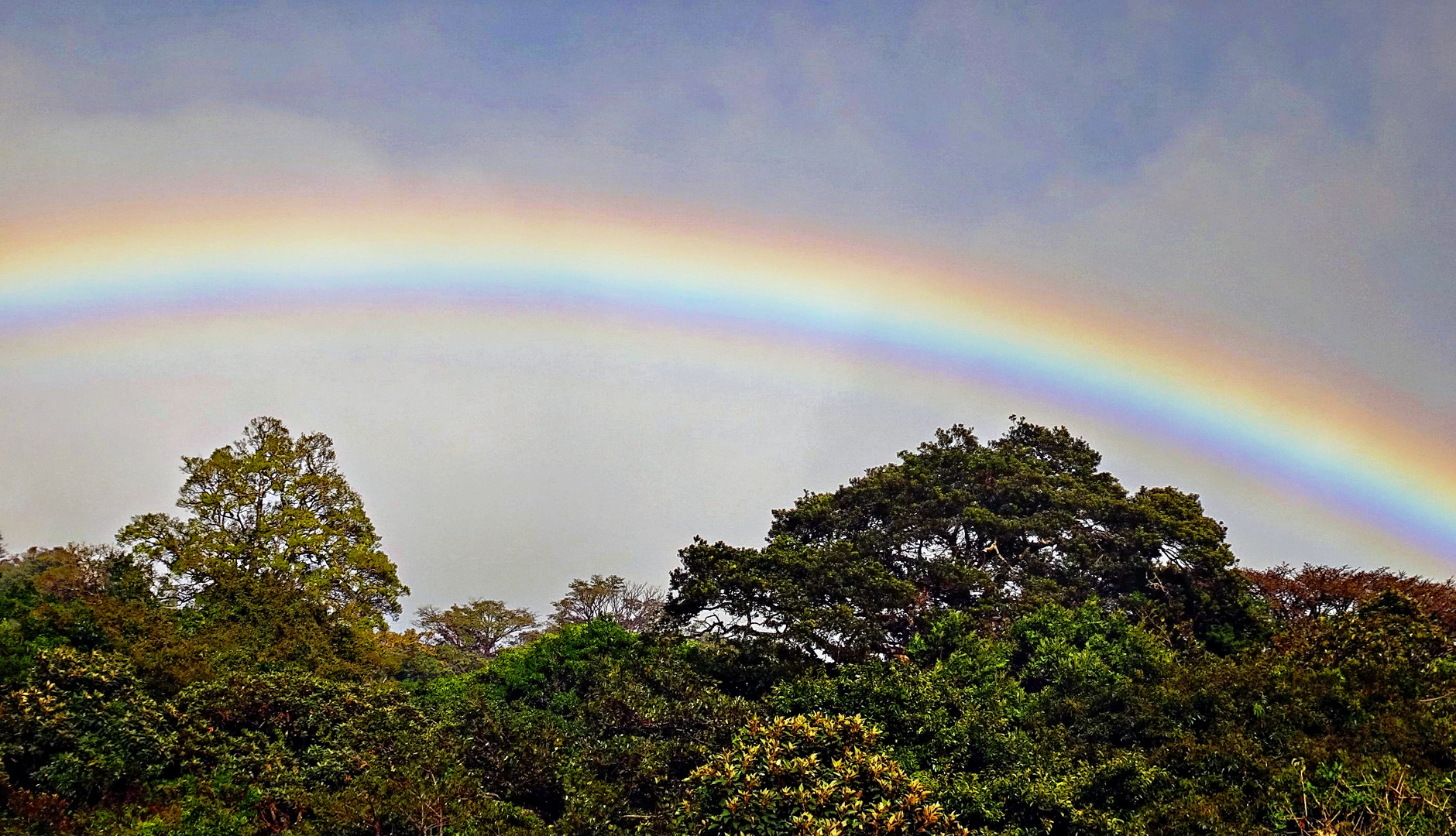 Monteverde et ses arcs en ciel 