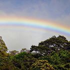 Monteverde et ses arcs en ciel 