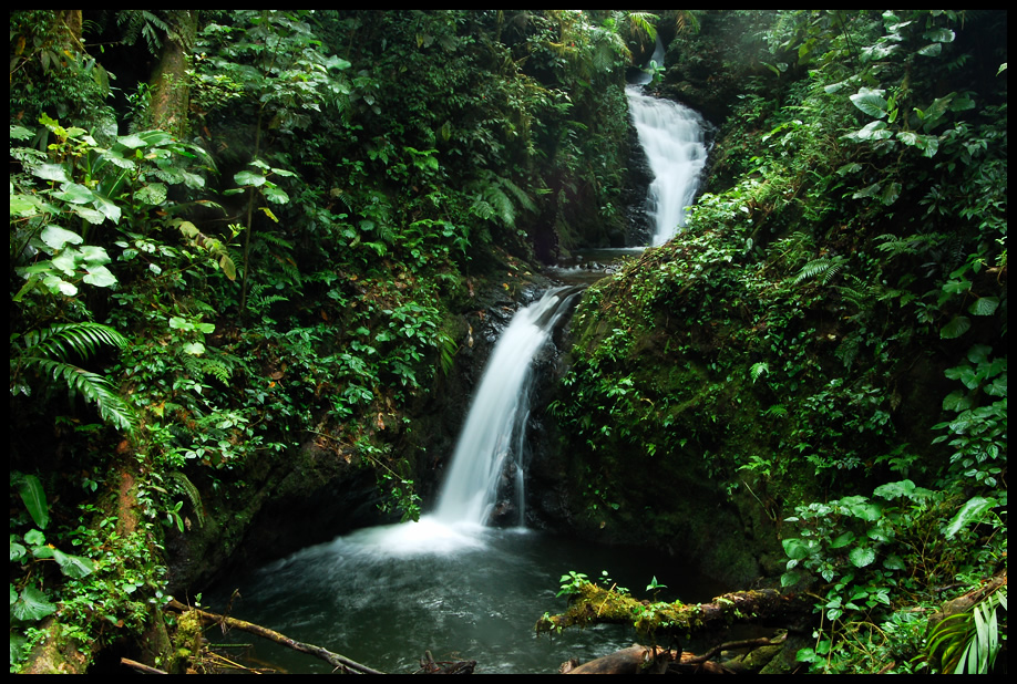 monteverde stream