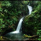 monteverde stream