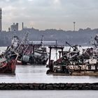 Montevideo Moments - Graveyard