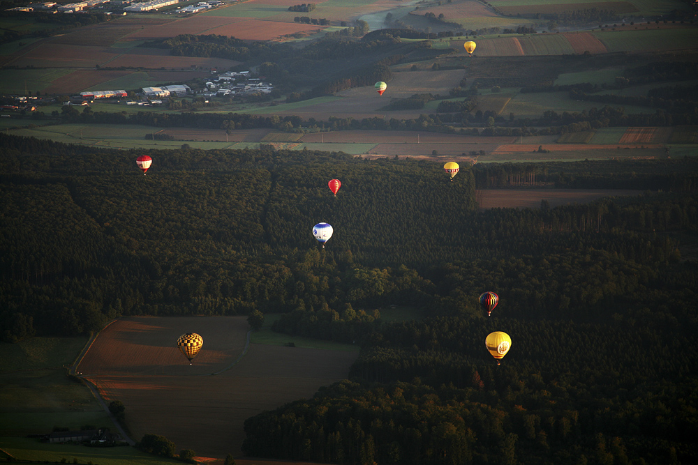 °~ Montgolfiade 2008 ~° IV