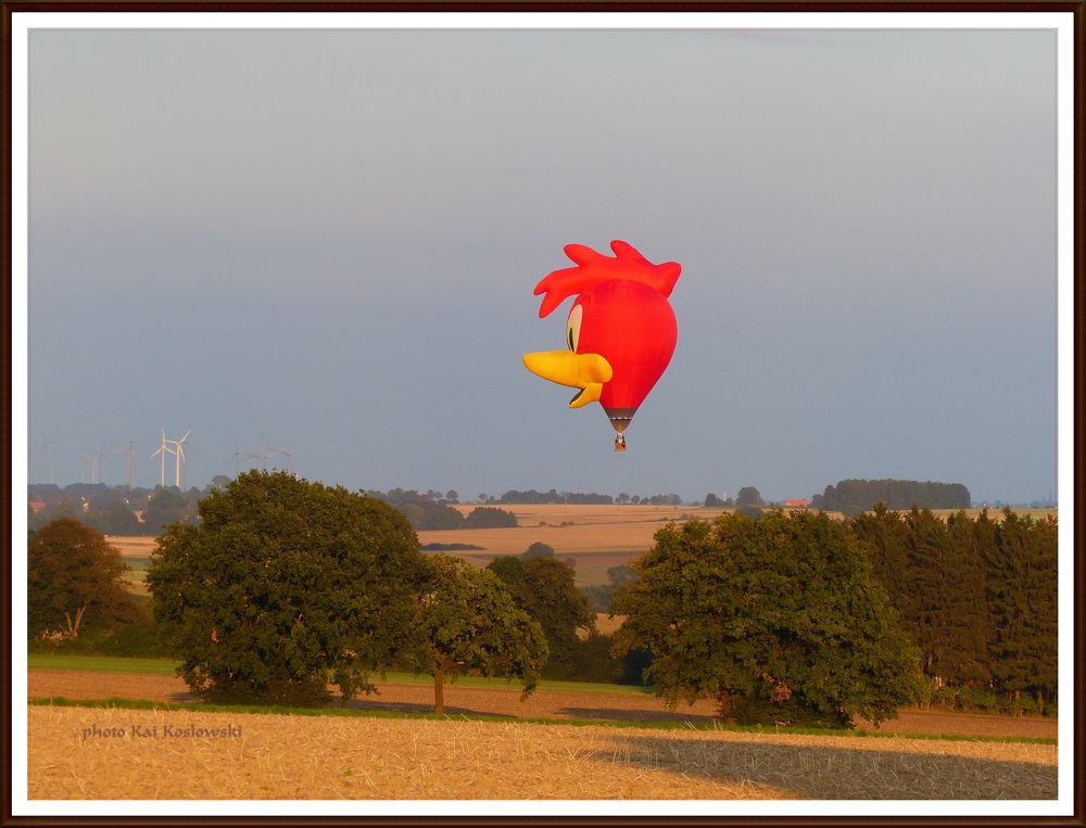 Montgolfiade Warstein 2015