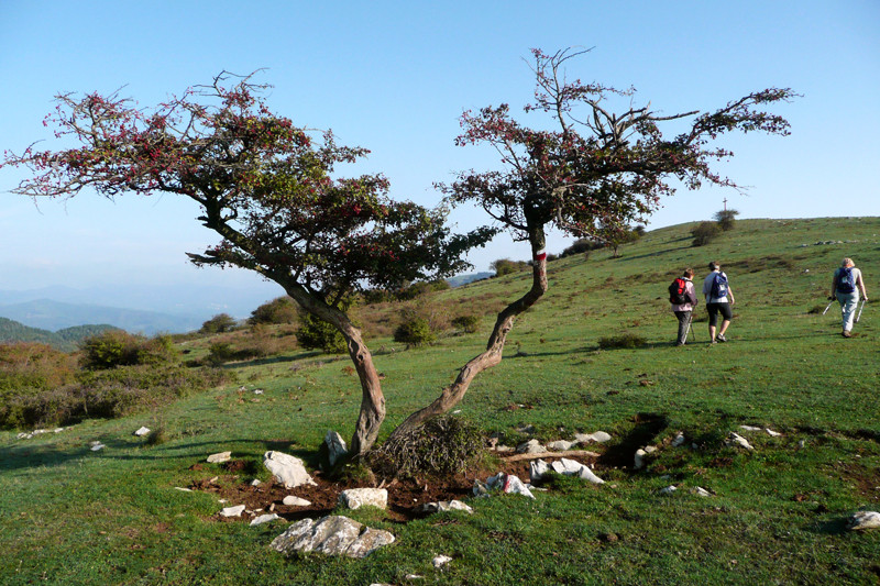 Monti della Calvana