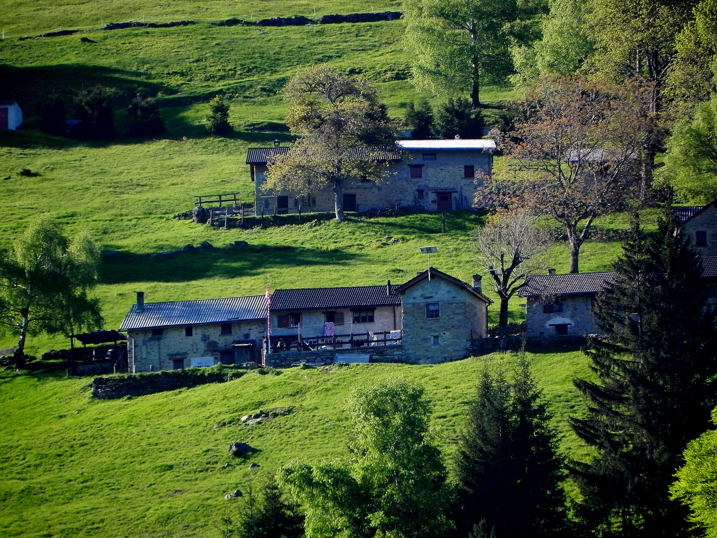 Monti Di Cò Valle D'Arbedo Ticino