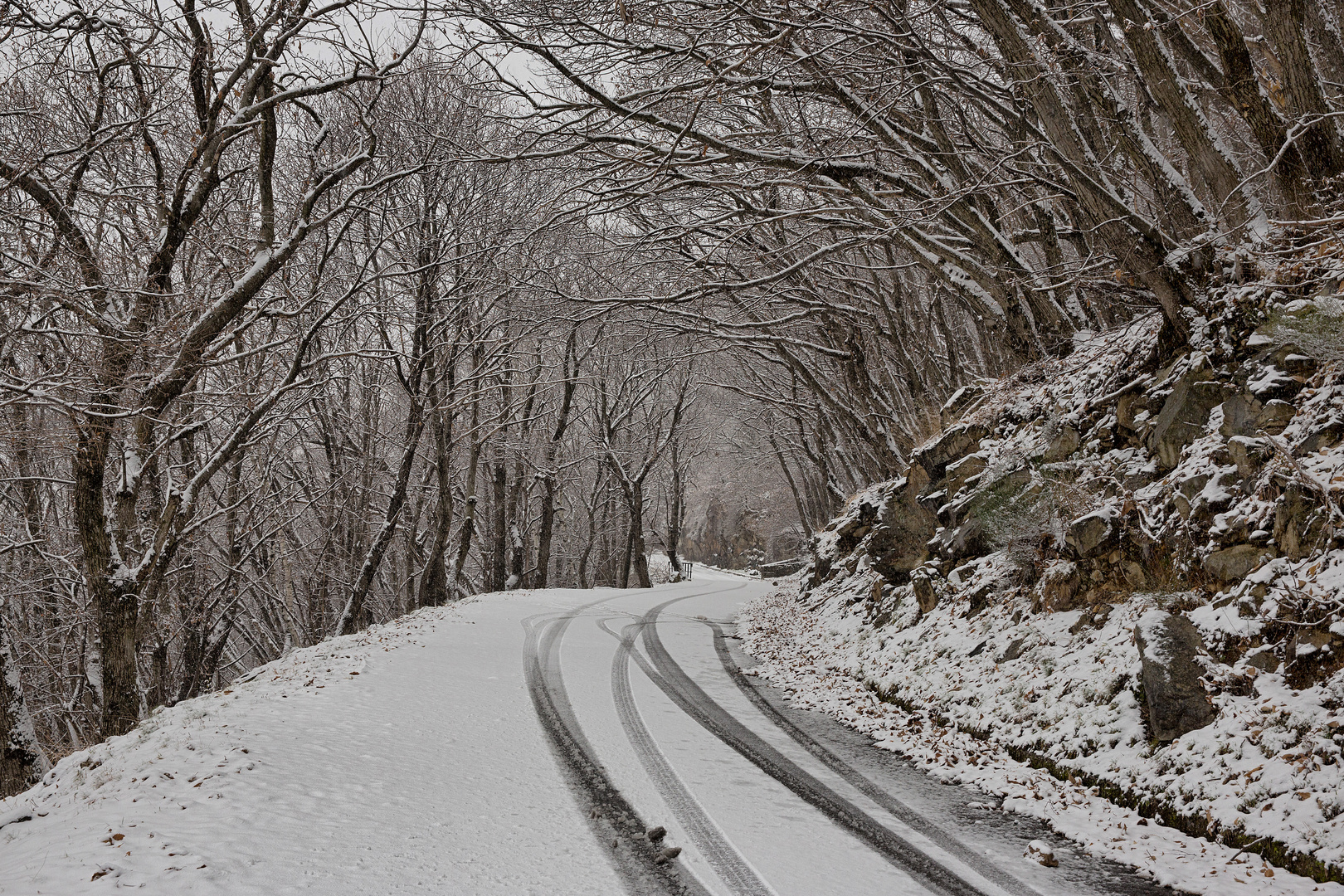 monti losone neve