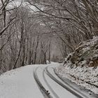 monti losone neve