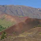 ... Monti Sartori , Etna Nord