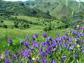 Monti Sicani nell'ovest della Sicilia ... Sicani mounts in the west Sicily ... von Christian Bertero 