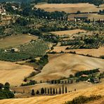 Monticchiello e le sue terre