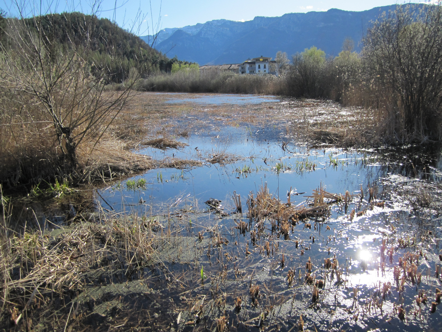 Montiggler See - Südtirol