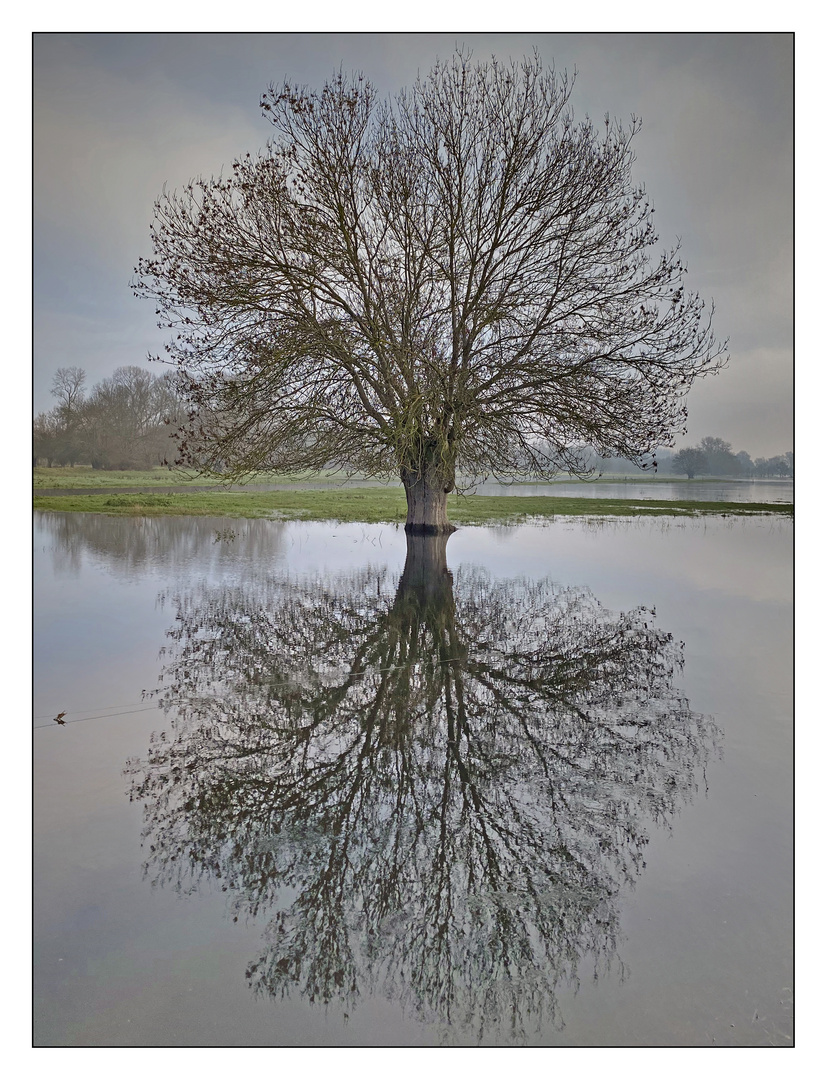 Montjean sur Loire