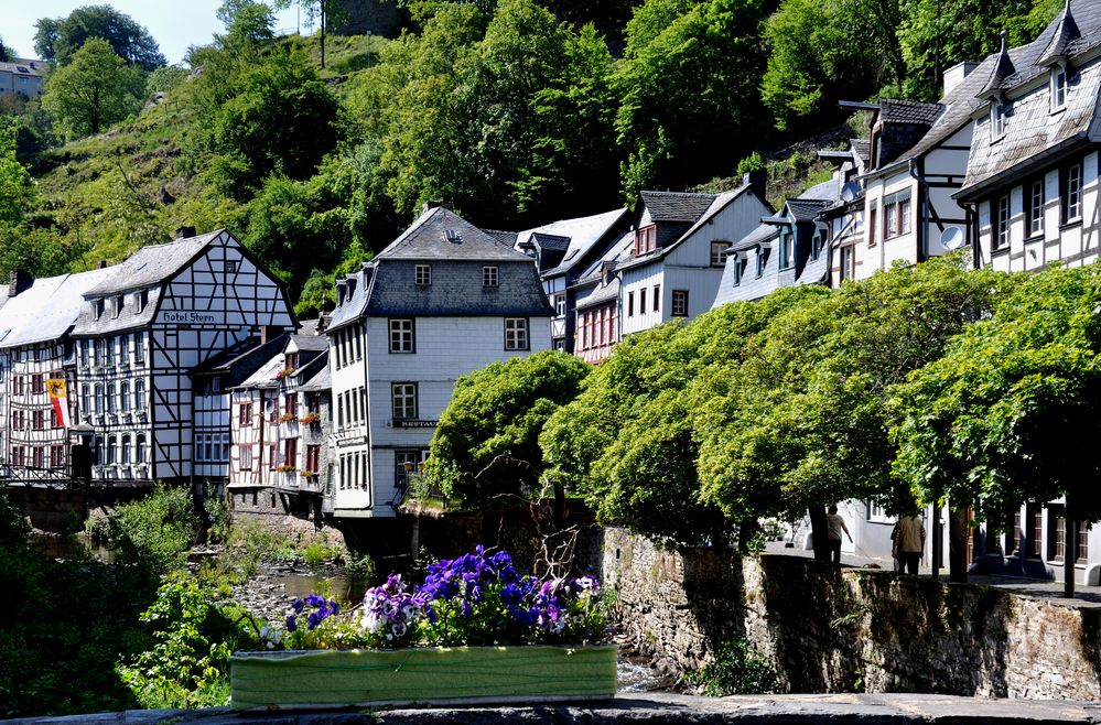 MONTJOIE - La cité médiévale - Au bord de la Roer.