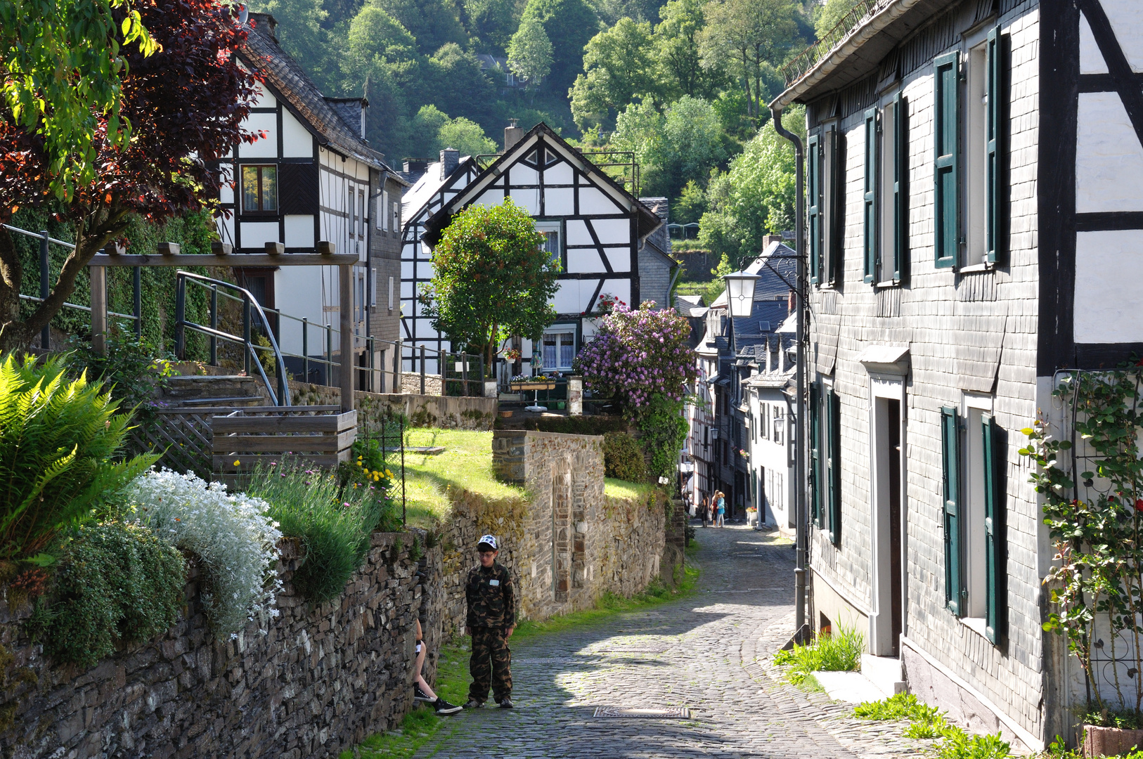 MONTJOIE - La cité médiévale - En descendant de la montagne de joie.