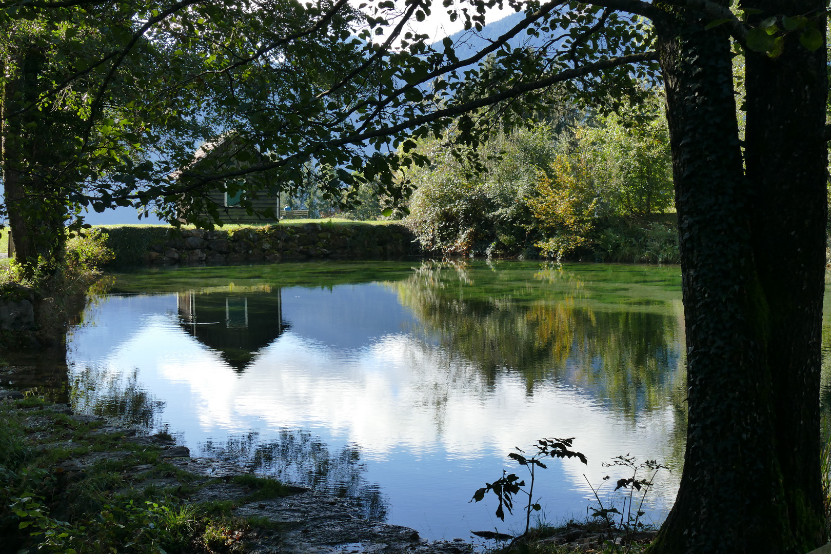 Montjola Weiher 