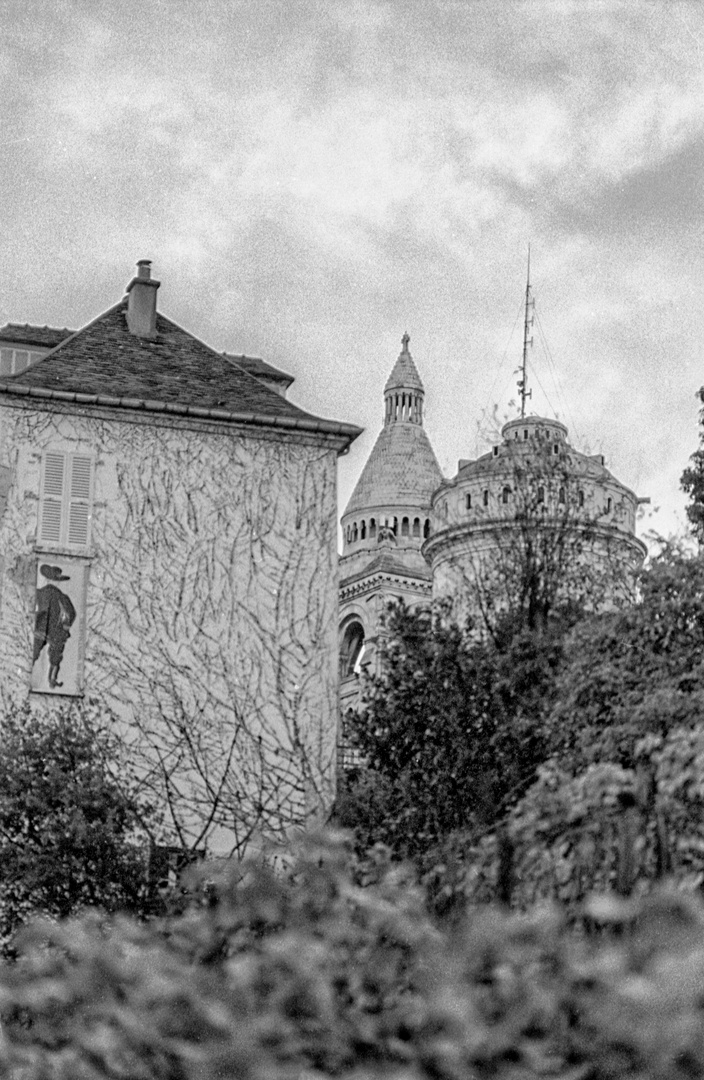 Montmartre - dans les vignes