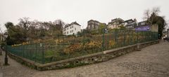 Montmartre - Rue St Vincent-Rue des Saules - Vineyard Clos Montmartre