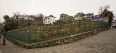 Montmartre - Rue St Vincent-Rue des Saules - Vineyard Clos Montmartre