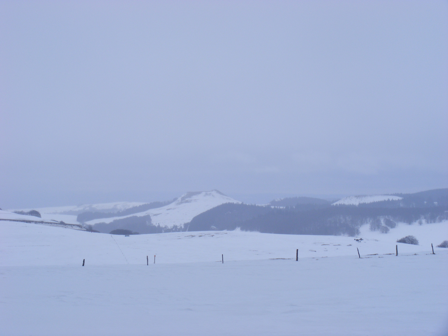 Montnas nevadas