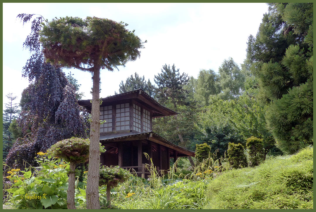 Monto-Verde - Japanischer-Garten