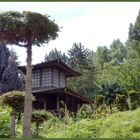 Monto-Verde - Japanischer-Garten