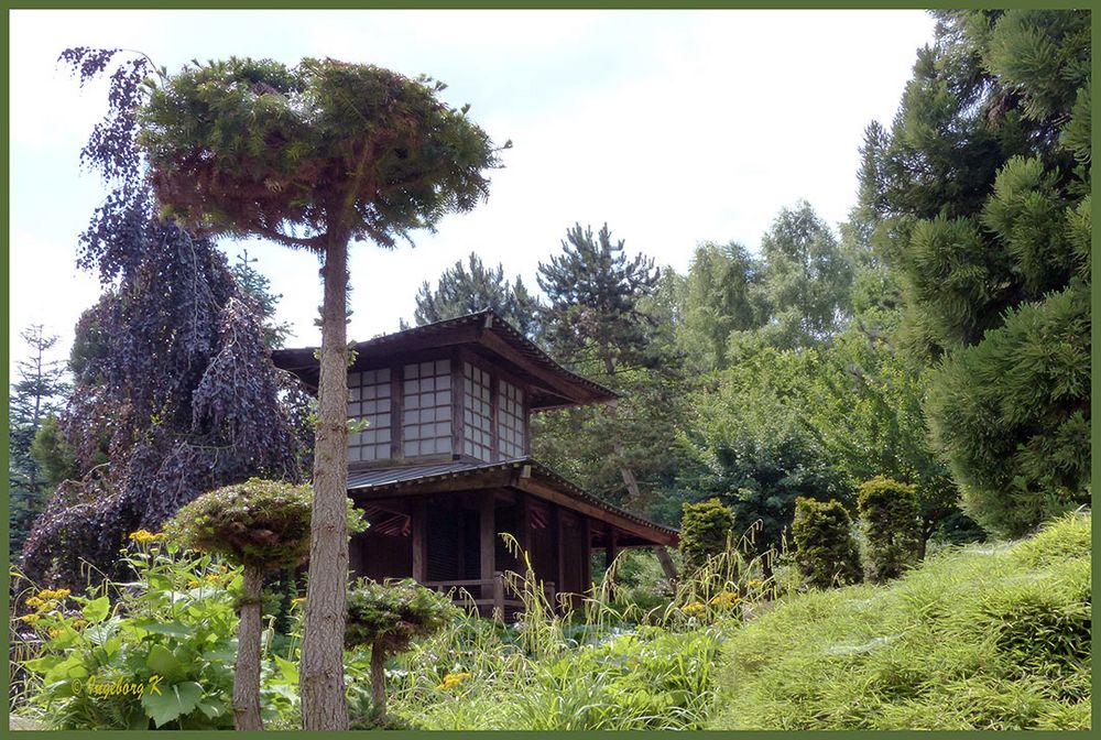 Monto-Verde - Japanischer-Garten