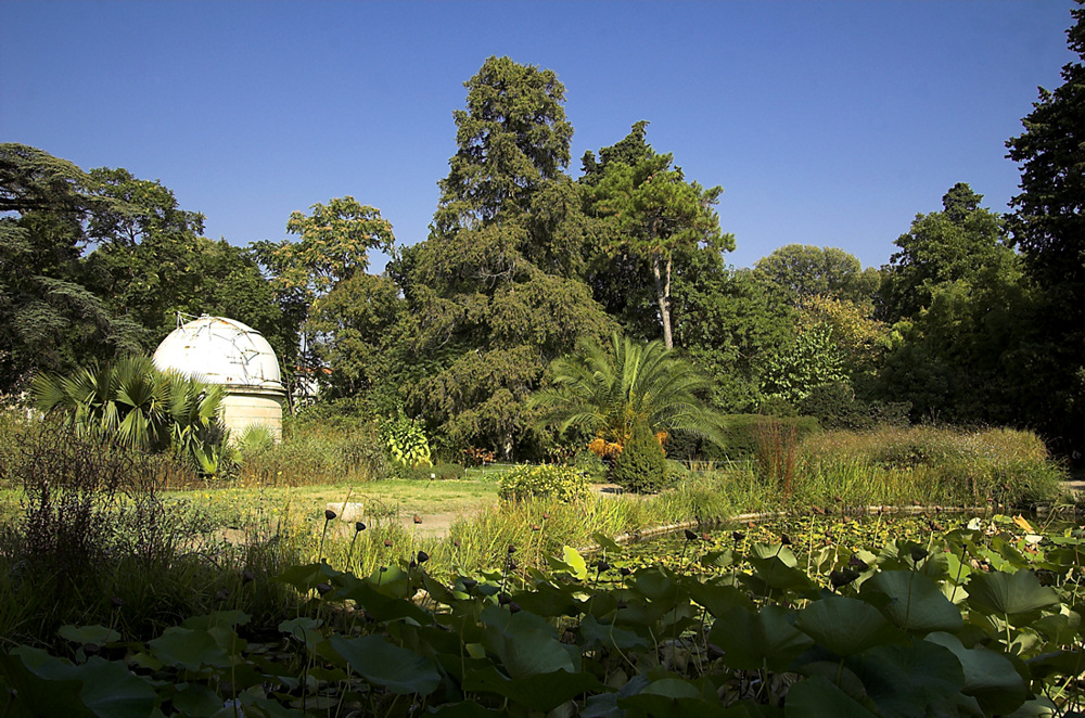 Montpellier - Botanischer Garten 1