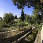 Montpellier - Botanischer Garten 2