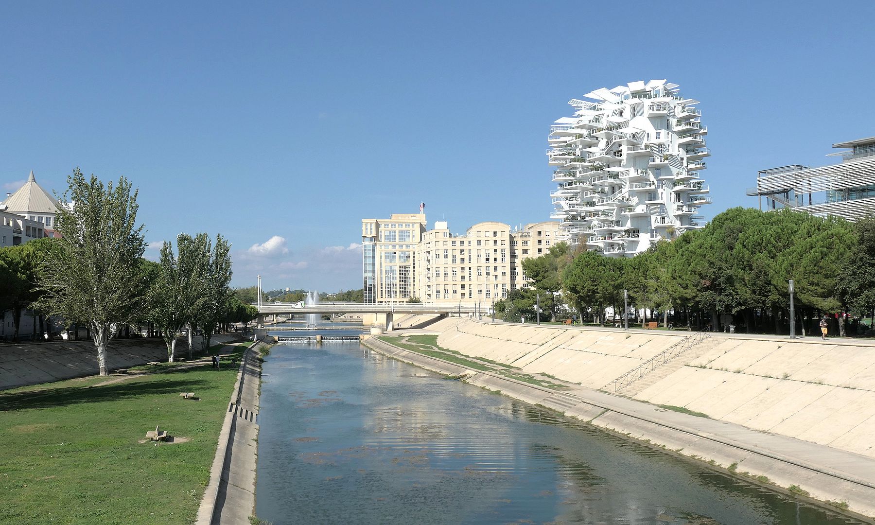 Montpellier "Der weiße Baum"