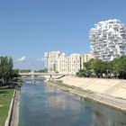 Montpellier "Der weiße Baum"