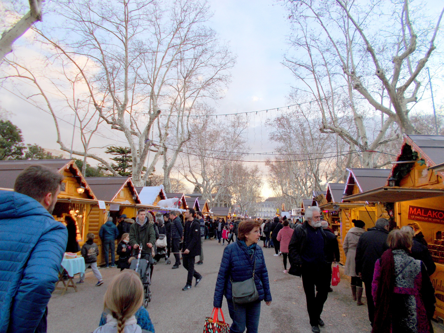 Montpellier - Les Hivernales (marché de Noël)