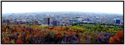 Montreal automnale de Pasqualehess 