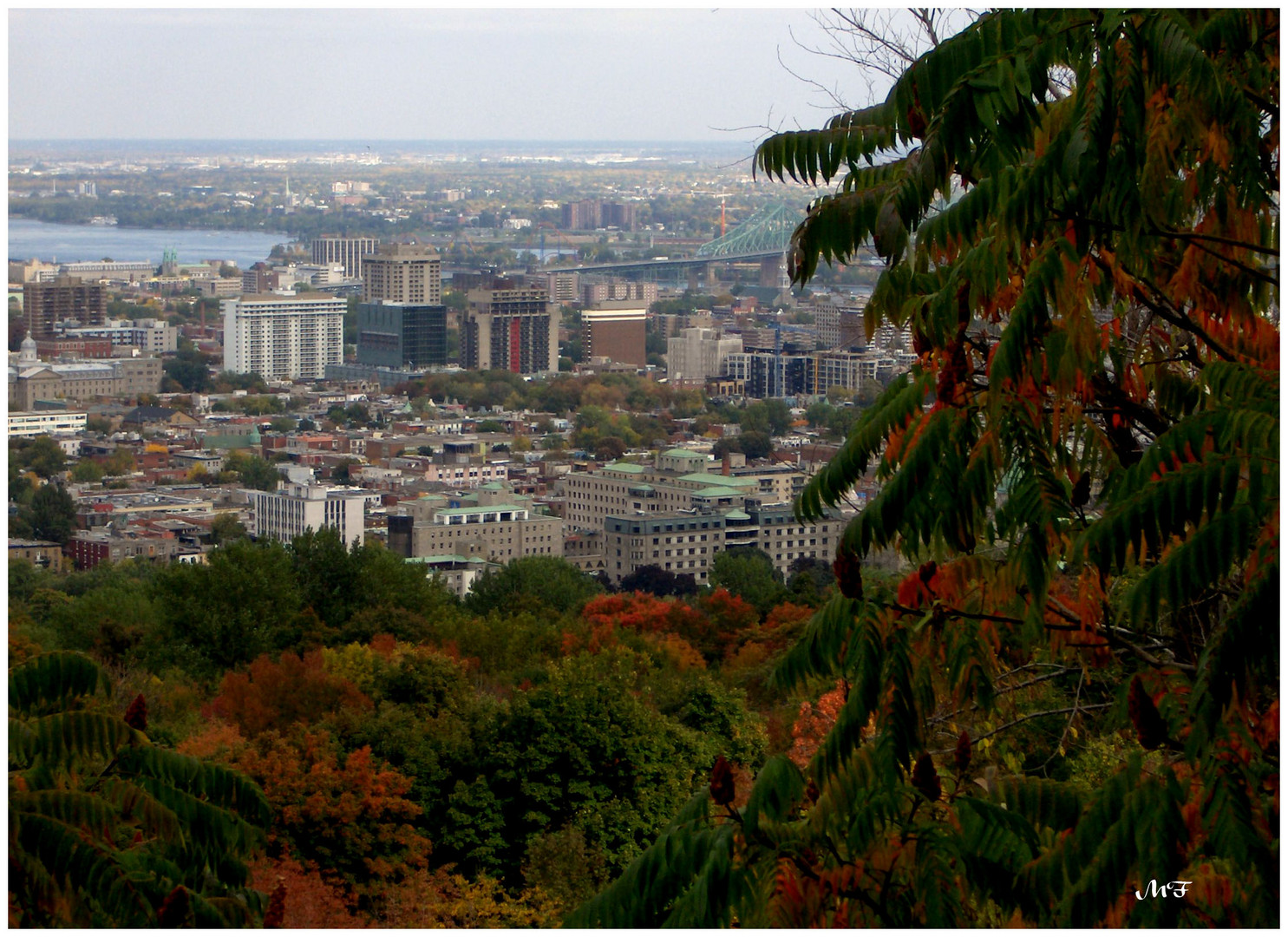 Montréal en automne