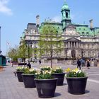 Montréal - Place Jacques-Cartier & Château Ramezay