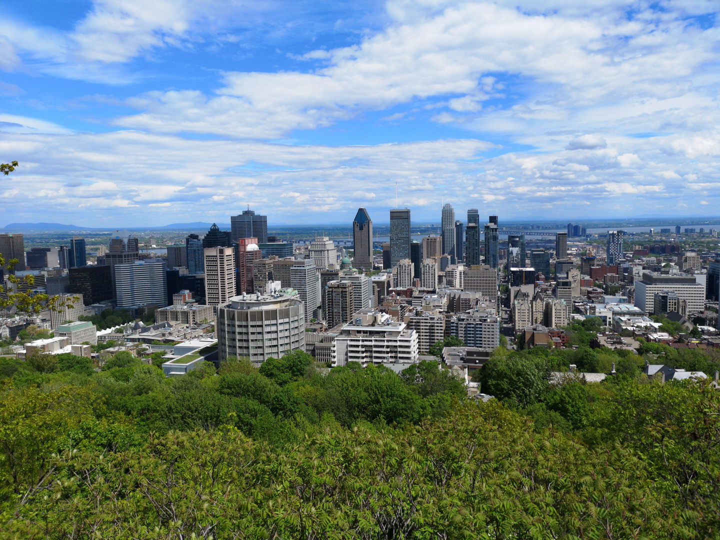 Montreal Skyline