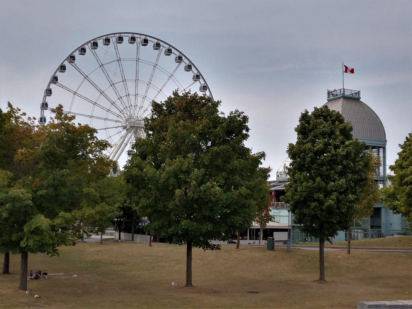 Montreal Waterfront